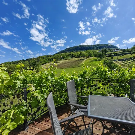 Villa Izabella Private *